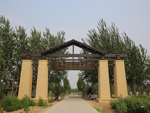 雅布倫現代農業園（五針松）